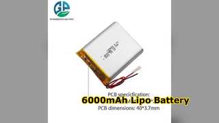 6000mAh Lipo Battery Power Up Your Devices